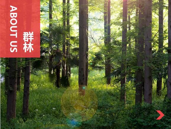 什么叫刨花板？